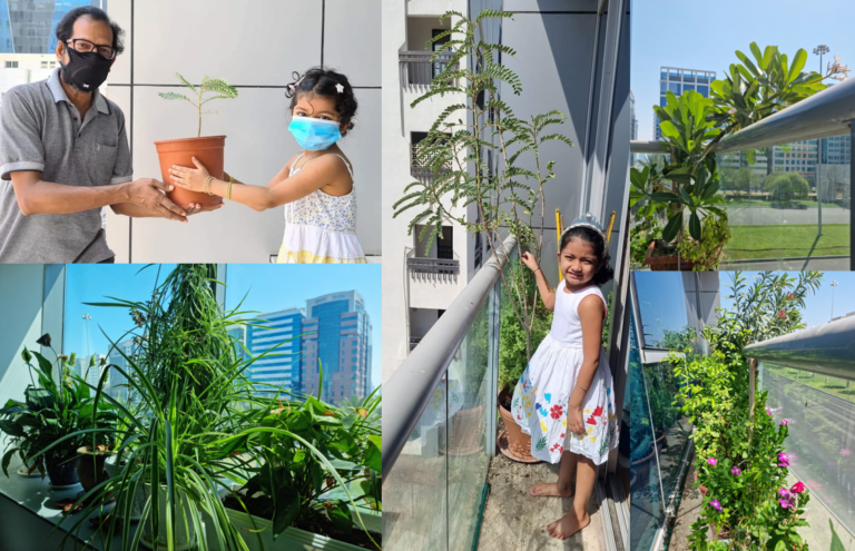 പരിസ്ഥിതി; രാഷ്ട്രീയം